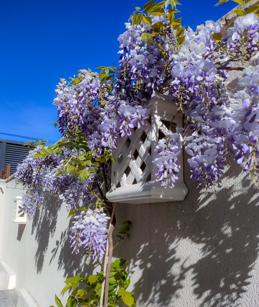 Hotel 4 postes